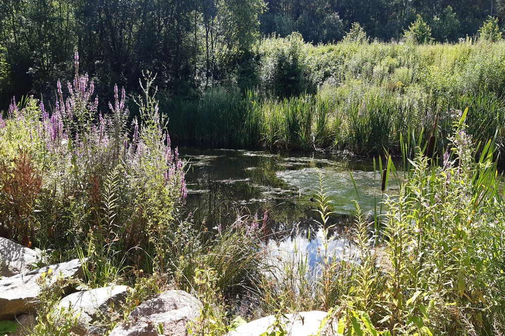 Flachwasserschutz Einleitung