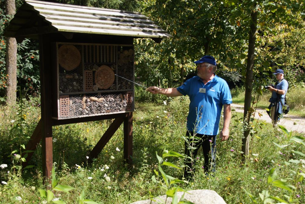 Erklärung eines Insektenhotels
