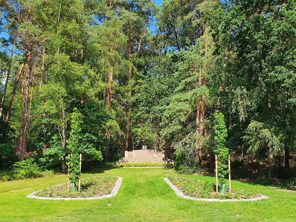 Grabstellen auf dem Friedhof Immenbeck