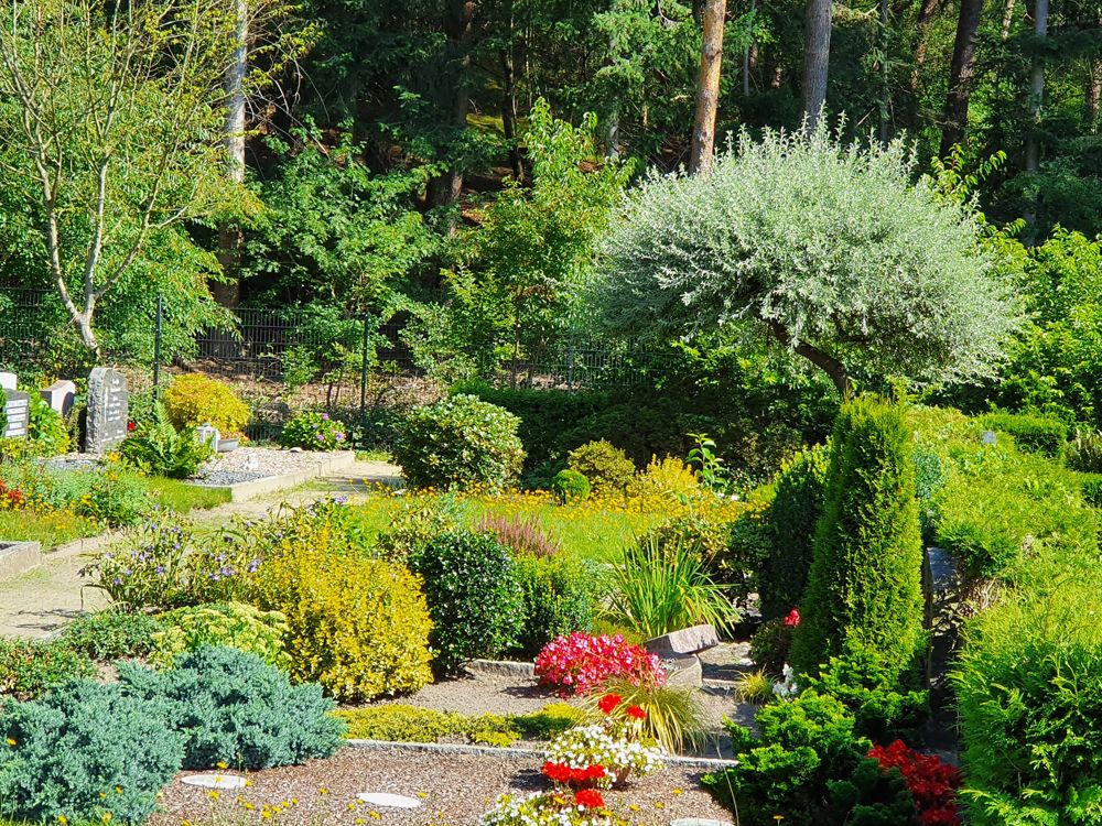 Grabstellen auf dem Friedhof Immenbeck